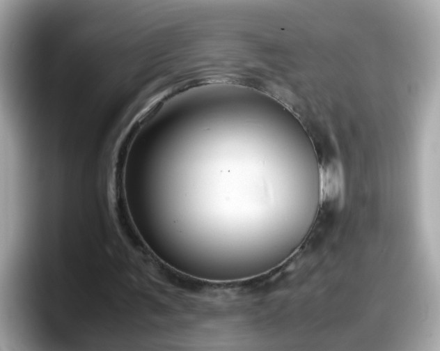 X0000098100291200804111028