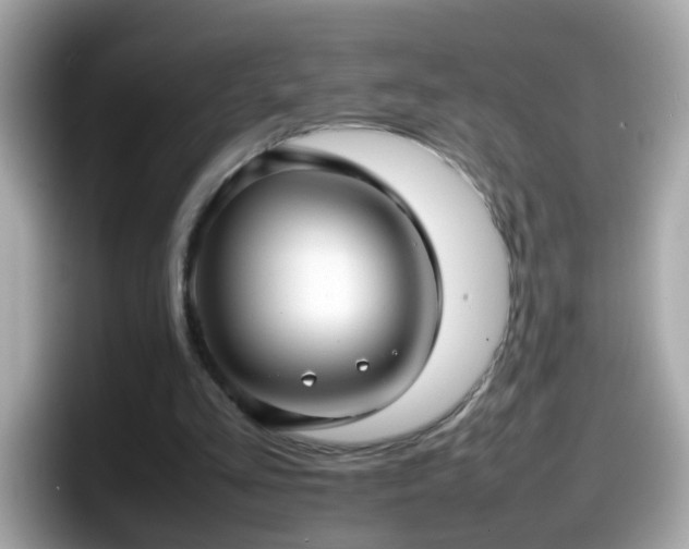 X0000098100293200804111028