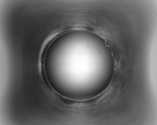 X0000098100294200804111028