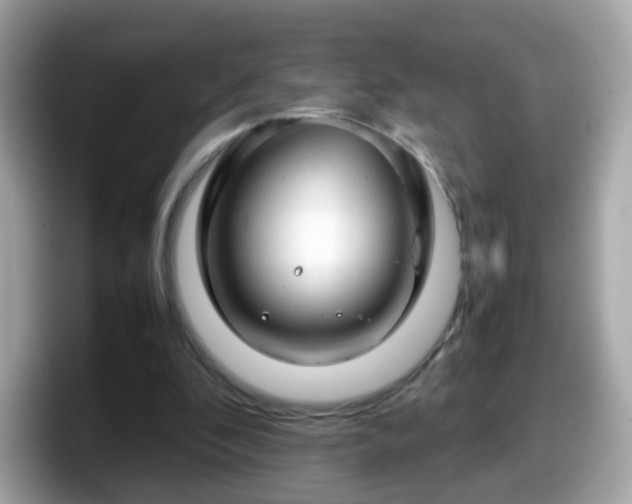 X0000098100296200804111028
