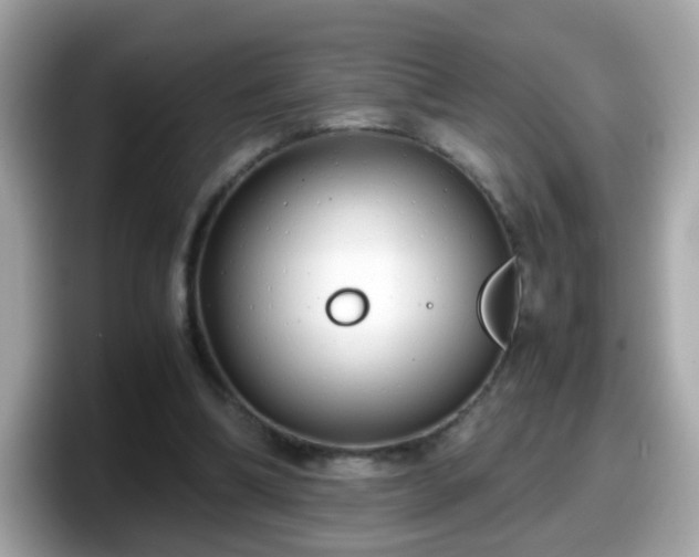 X0000098100298200804111028