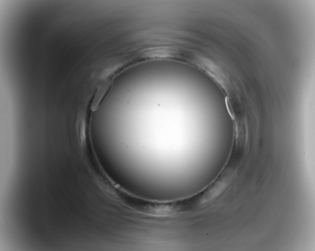 X0000098100301200804111028