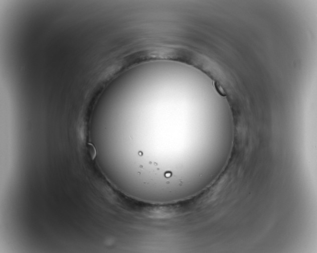 X0000098100305200804111028