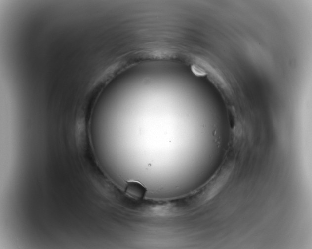 X0000098100306200804111028