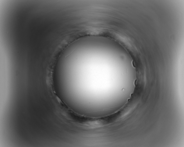 X0000098100307200804111028