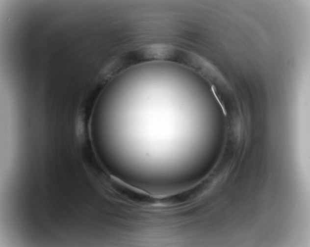 X0000098100312200804111028
