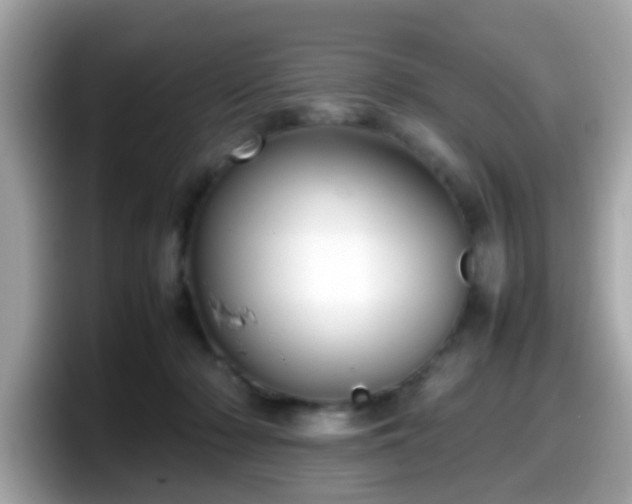 X0000098100318200804111028