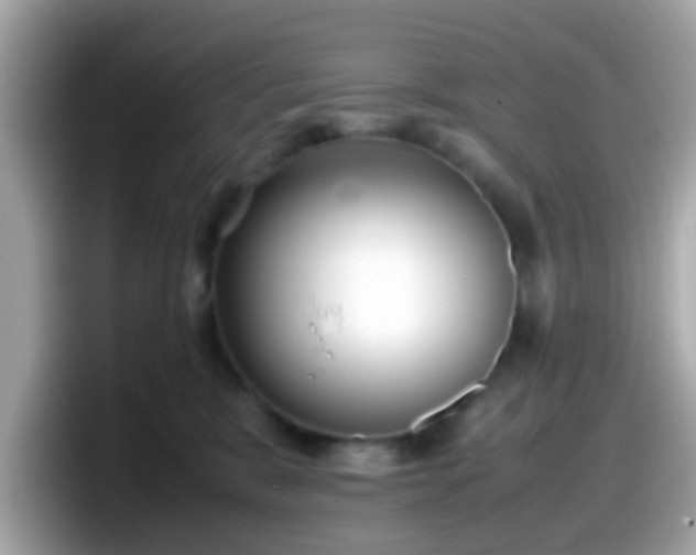 X0000098100327200804111028