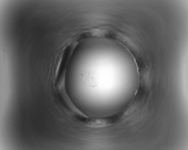 X0000098100329200804111028