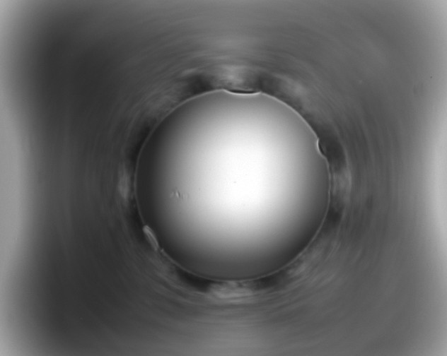 X0000098100331200804111028
