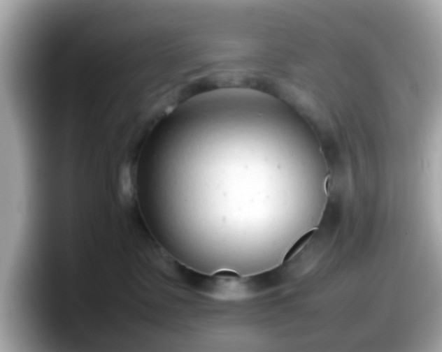 X0000098100335200804111028