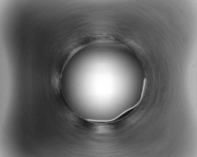 X0000098100336200804111027