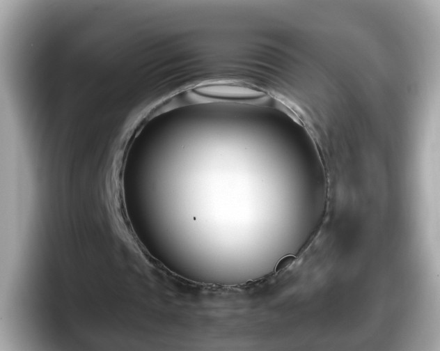 X0000098100337200804111027