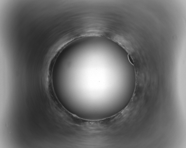 X0000098100338200804111027