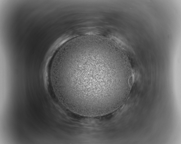 X0000098100339200804111027