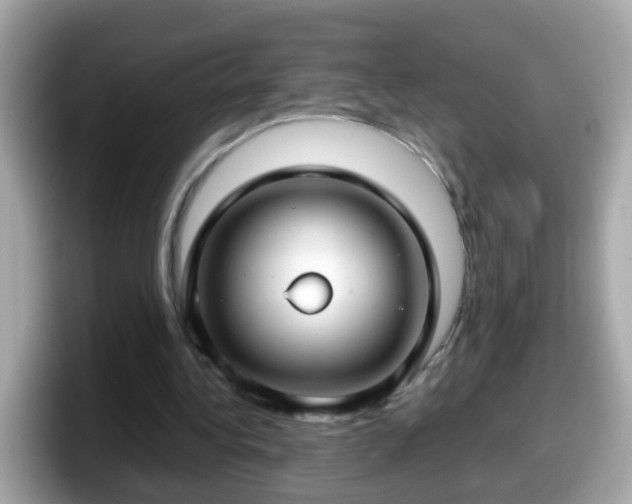 X0000098100340200804111027