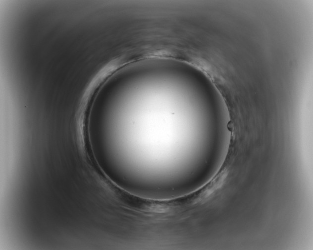 X0000098100341200804111027