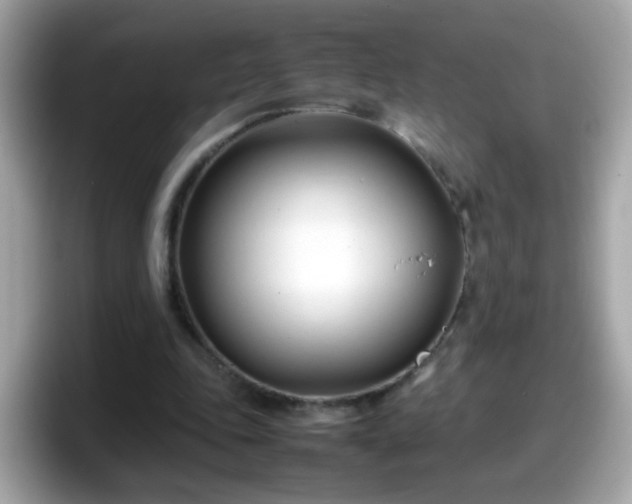 X0000098100343200804111027