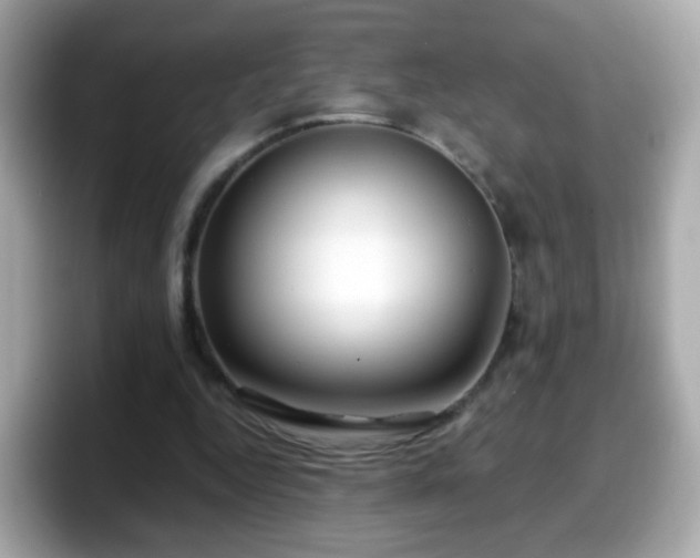 X0000098100344200804111027