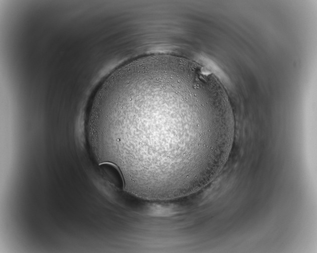 X0000098100346200804111027