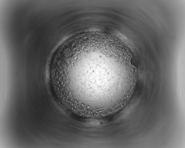 X0000098100347200804111027