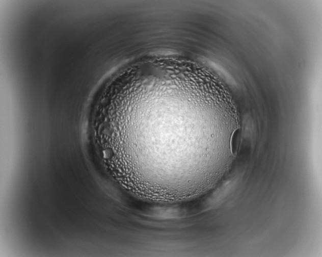X0000098100351200804111027