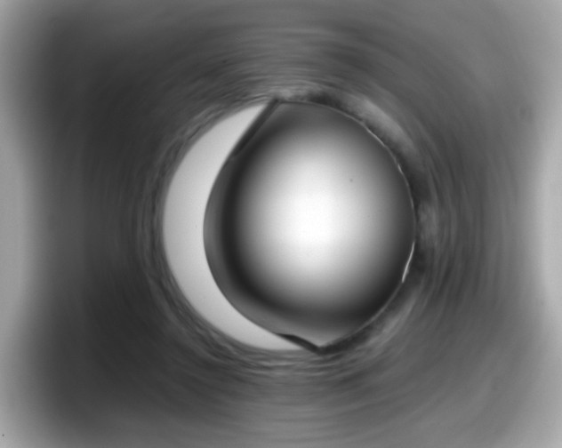 X0000098100356200804111027