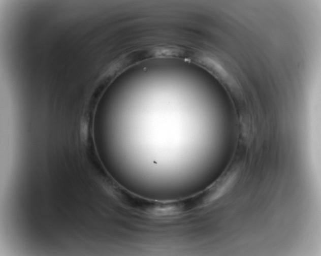 X0000098100357200804111027