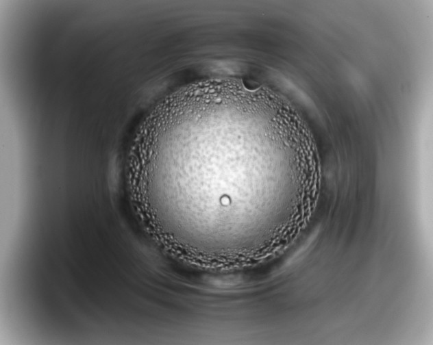 X0000098100359200804111027