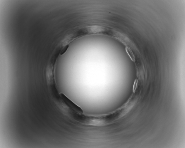X0000098100360200804111027