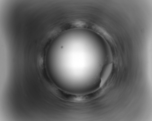 X0000098100365200804111027