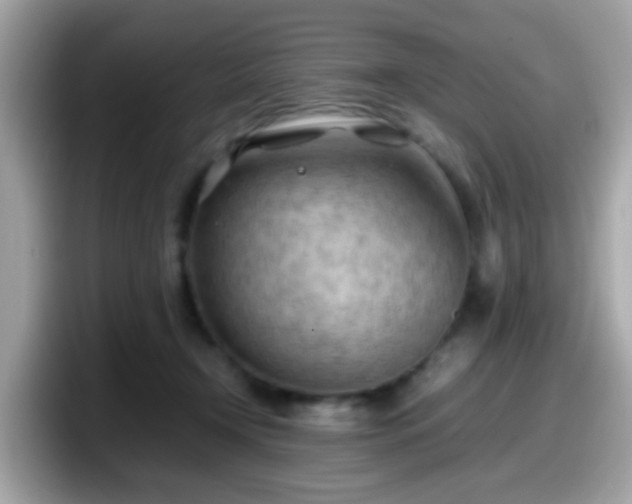 X0000098100366200804111027