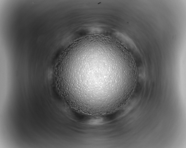 X0000098100369200804111027