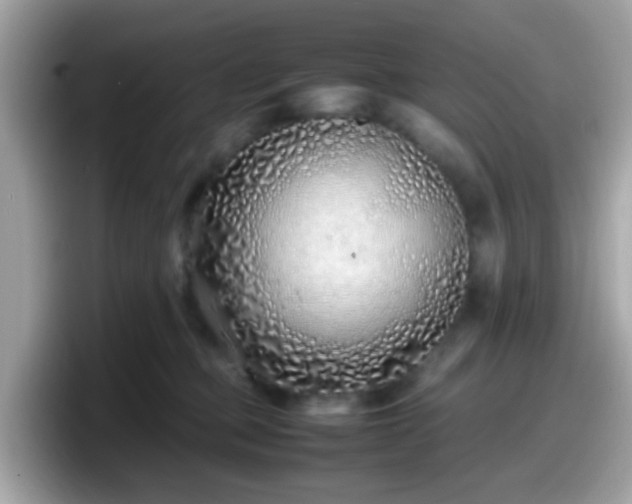 X0000098100373200804111027