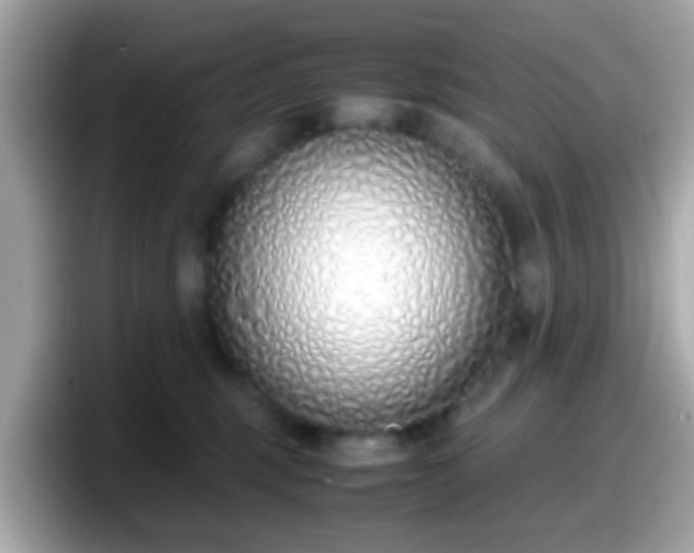 X0000098100375200804111027