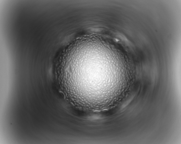 X0000098100377200804111027