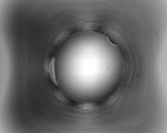 X0000098100384200804111027