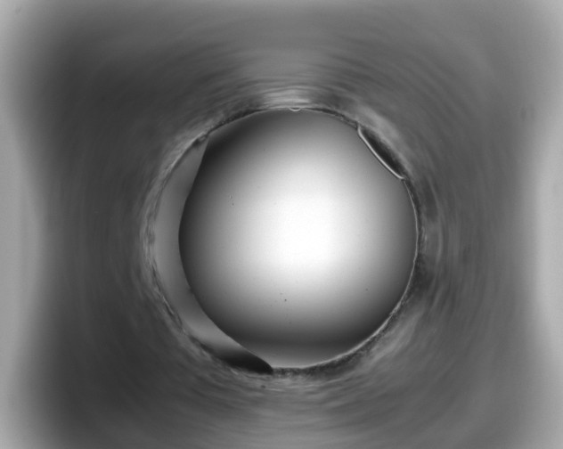X0000098100385200804111027
