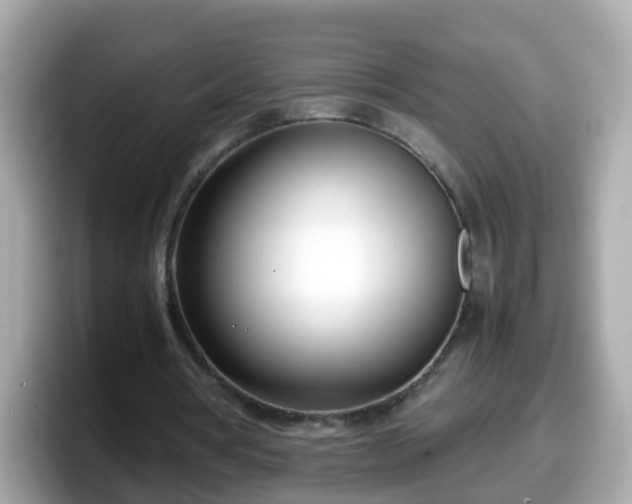 X0000098100386200804111027