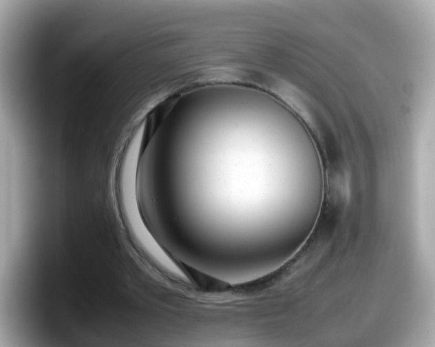 X0000098100389200804111027
