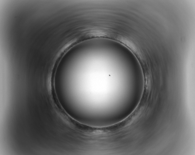 X0000098100390200804111027