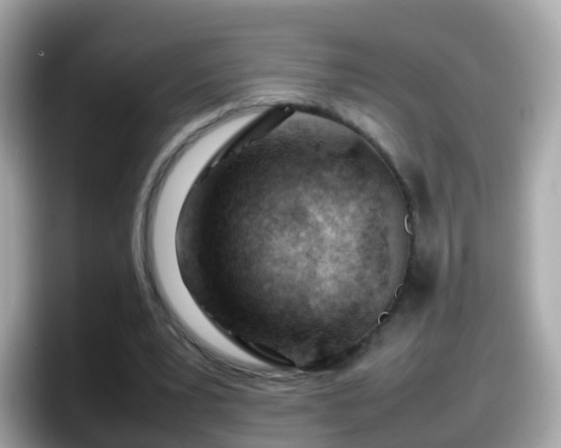 X0000098100391200804111027