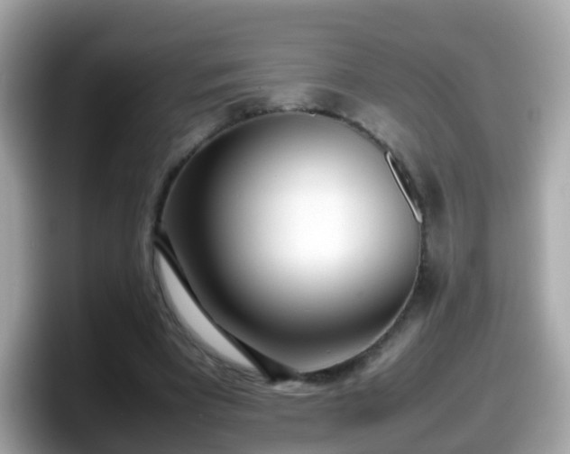 X0000098100393200804111027