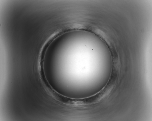 X0000098100395200804111027