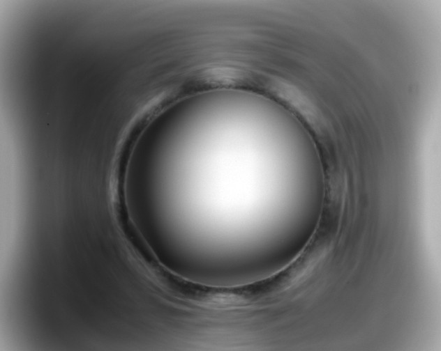 X0000098100399200804111027