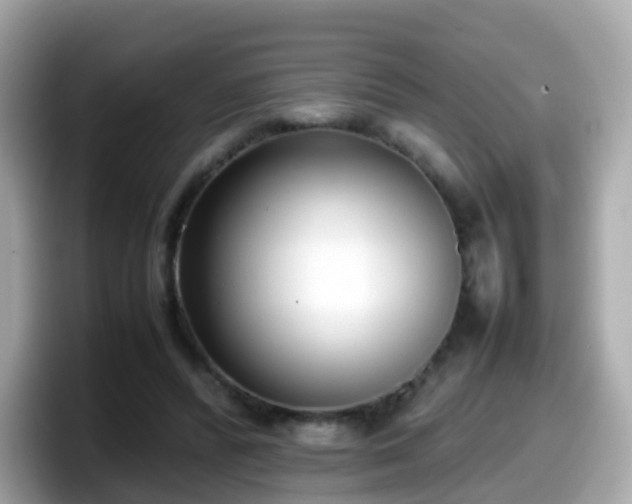 X0000098100400200804111027