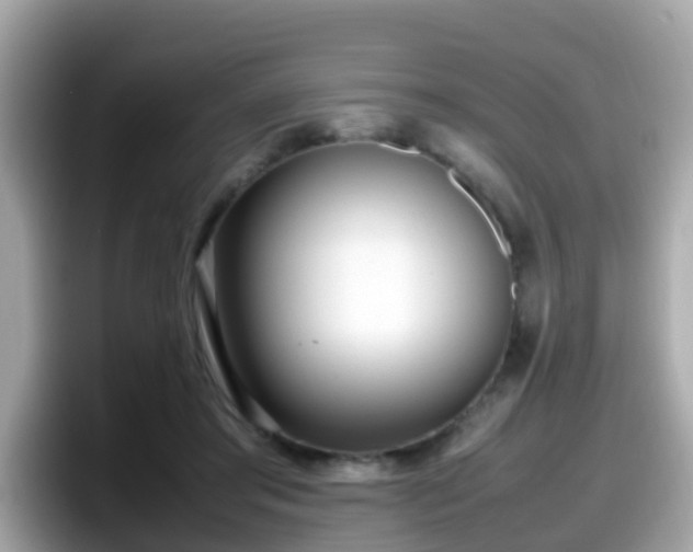 X0000098100405200804111027