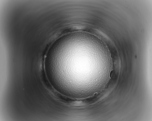 X0000098100406200804111027