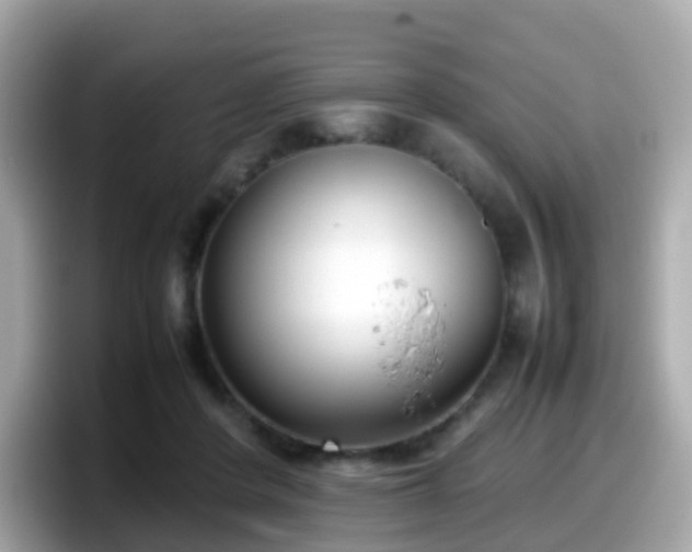 X0000098100408200804111027