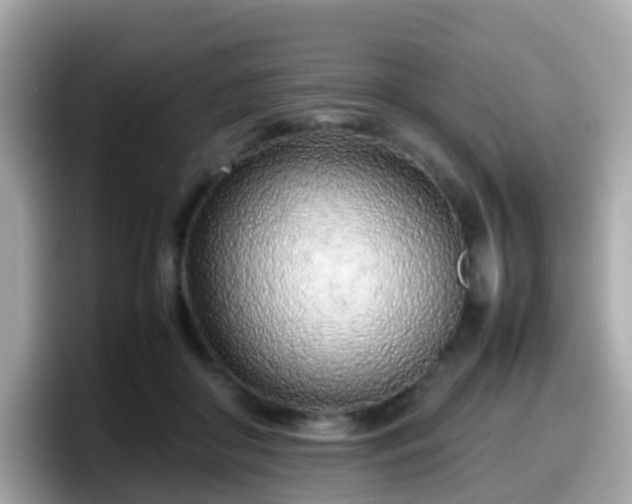 X0000098100410200804111027